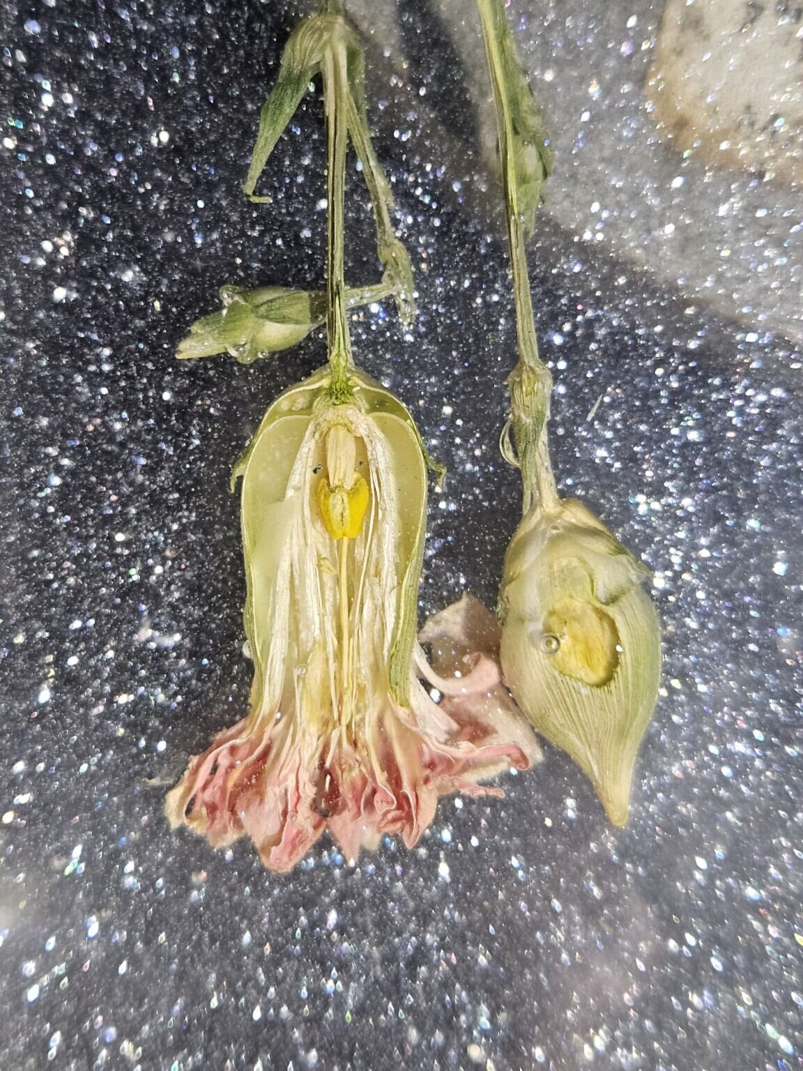 Botanical epoxy detail